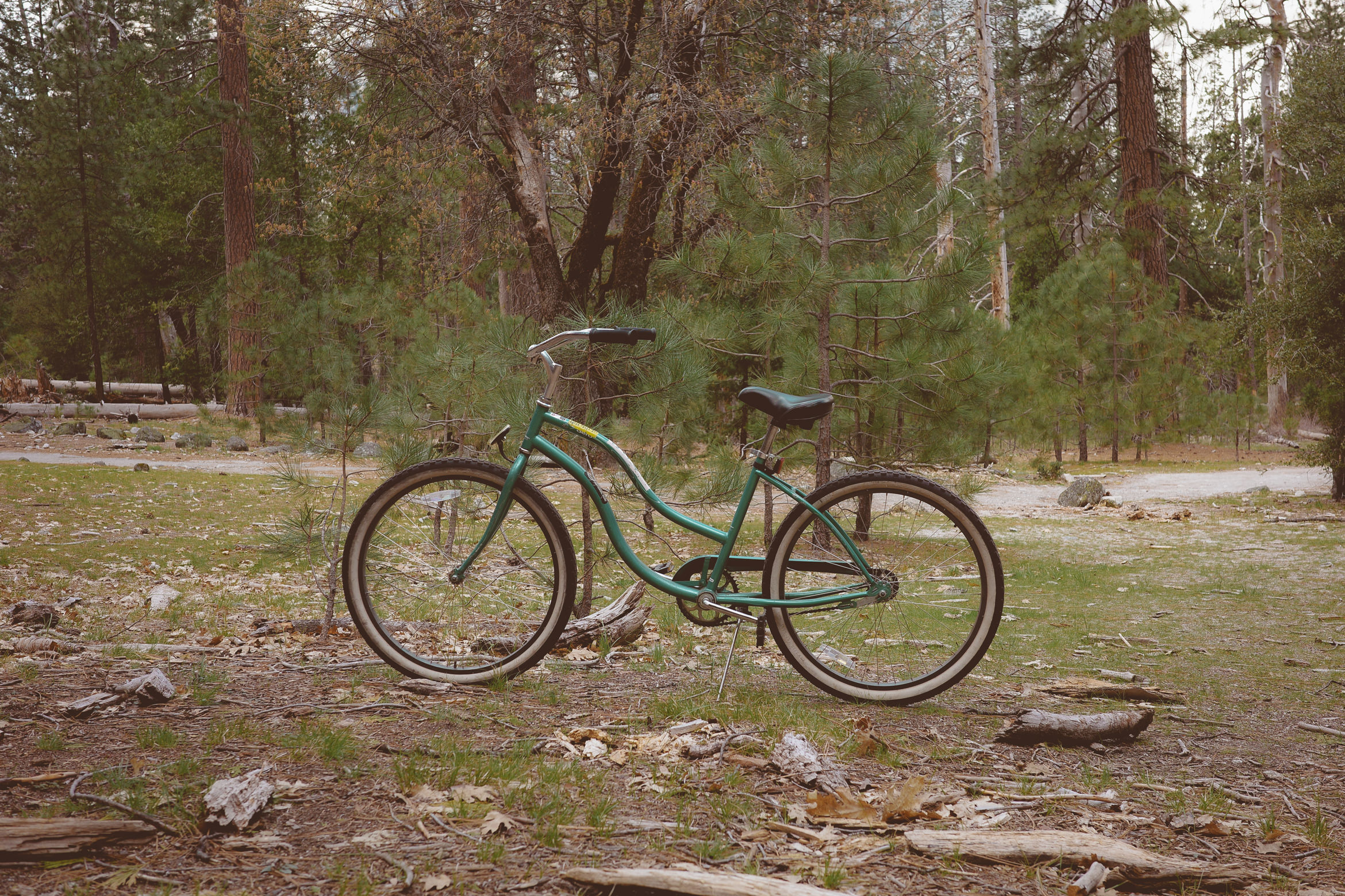 yosemite valley awahanee