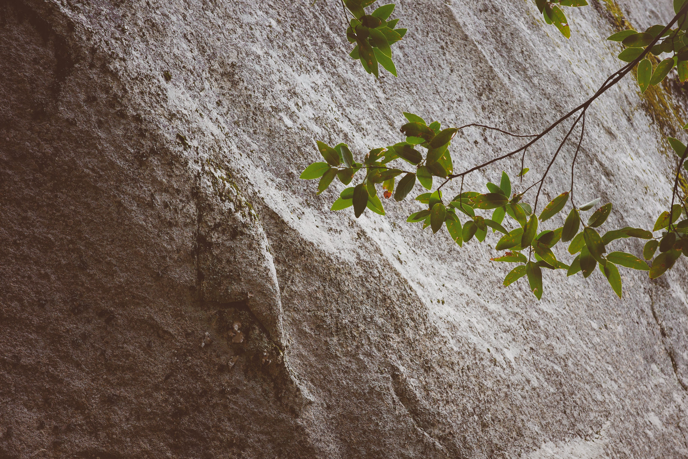yosemite valley awahanee