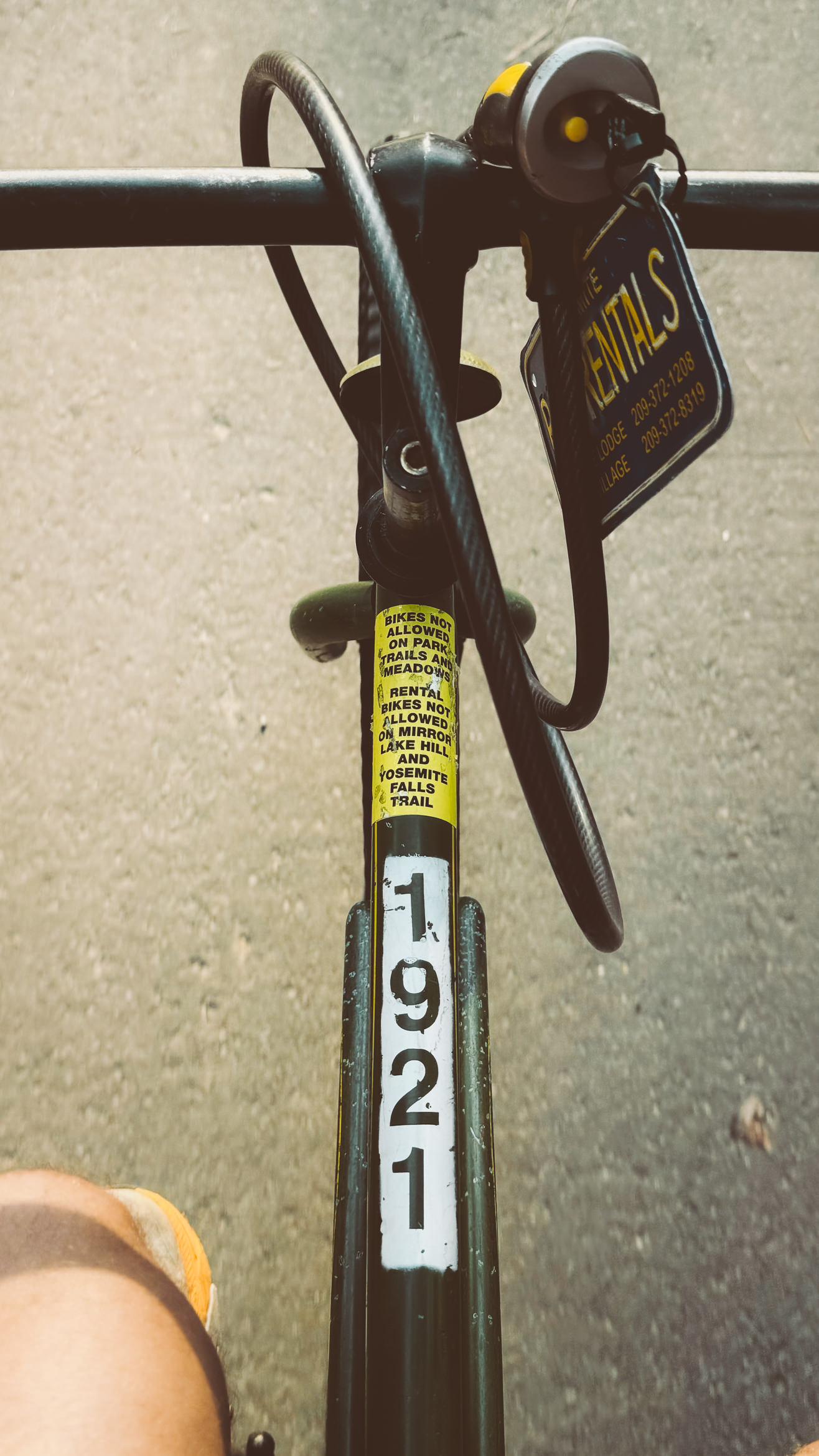 yosemite valley awahanee