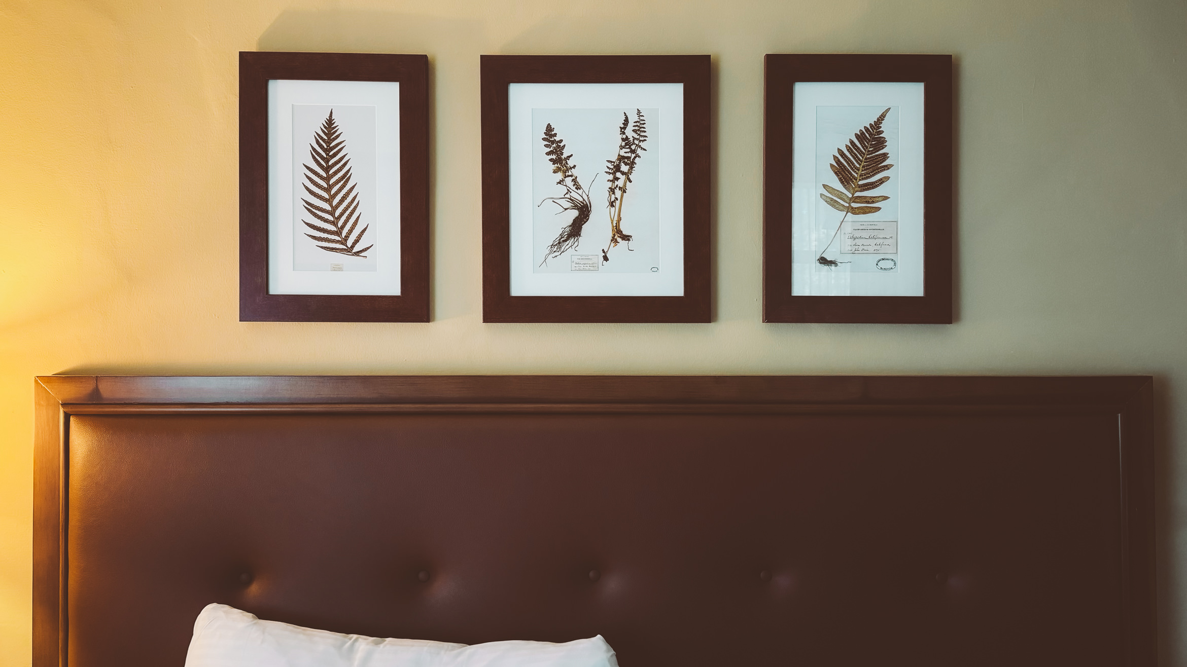 yosemite valley awahanee