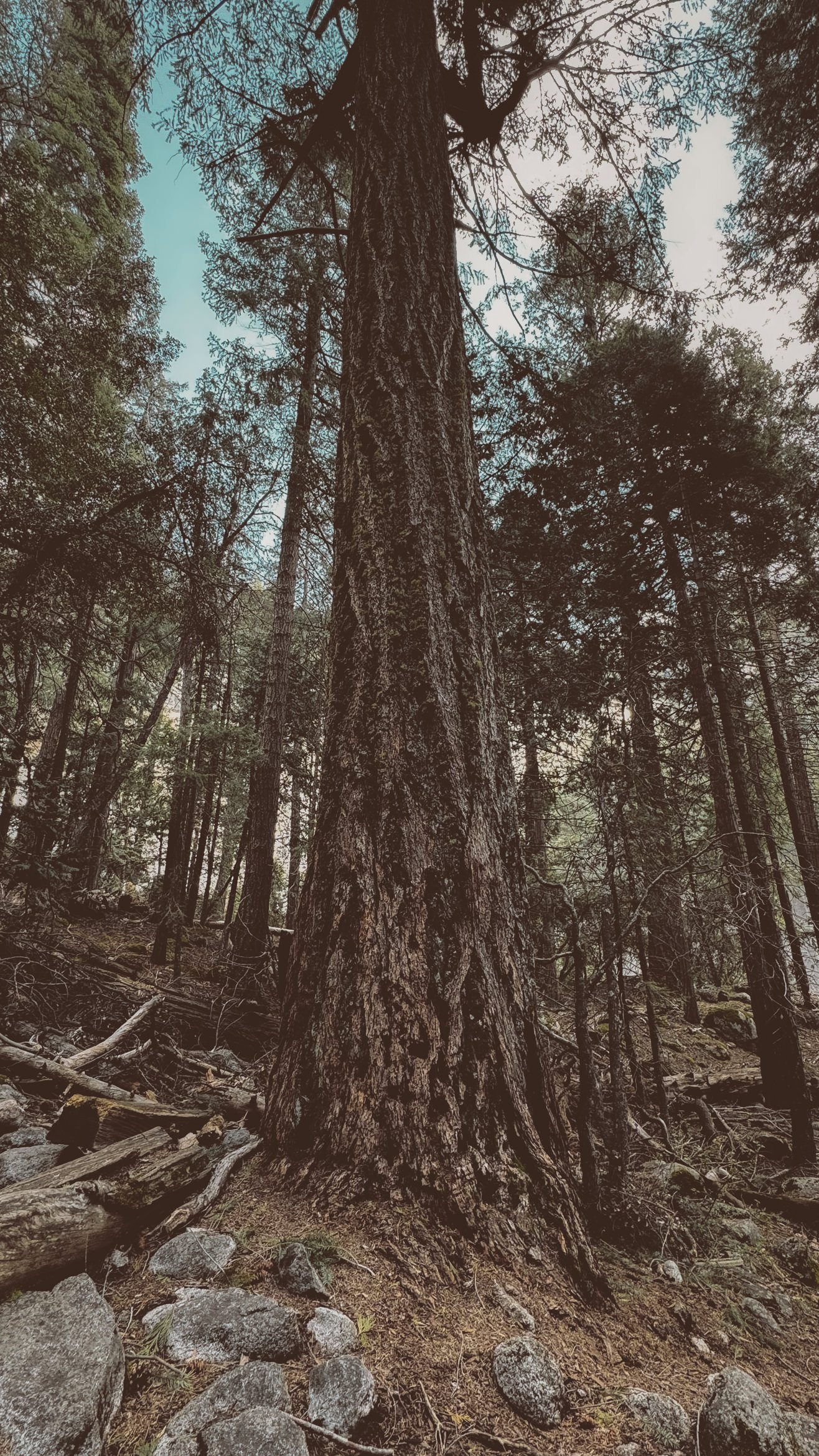 yosemite nevada falls